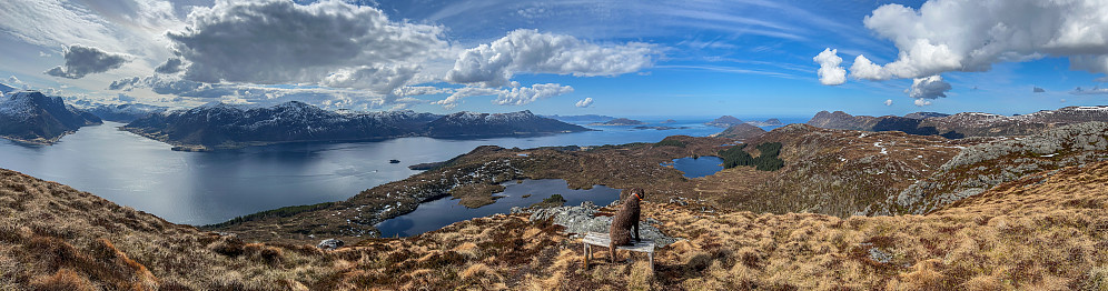 Utsikt fra Årvikveten