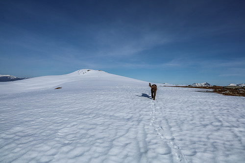 En lang snømarsj