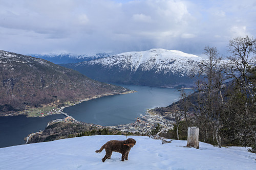 Utsikt fra Skjeggen