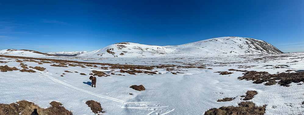 Utrolig med skitur på Gurskøya 5/5!