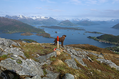 Fint med nymalte stikker...