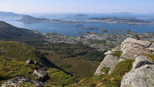 Flott runde over Svanshornet - masse nye skogsstier på vei tilbake til Fiskarstranda