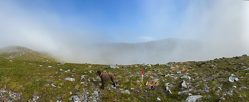 Det males. Dette var siste del av Øyradalen rundt