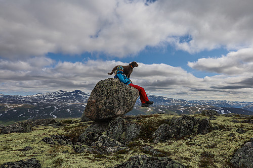 Det gode liv på Skjeltrene