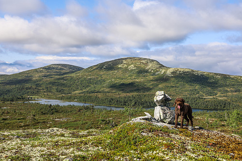 Store Haugmelen sett fra Vardaheii