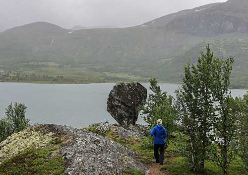 En morsom stein nede ved Sjodalsvatnet