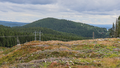 Botshaugkampen sett fra Sollihøgda