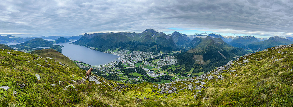 Ørsta sett fra Melshornet