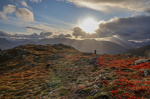 En herlig ettermiddag på Koppefjellet (etter regn)