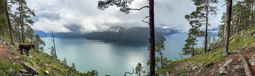 Fin fjordutsikt...