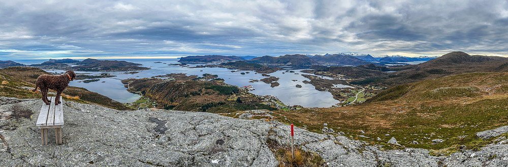Den fine benken vår på Øyrahornet