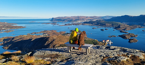 Tilbake på benken