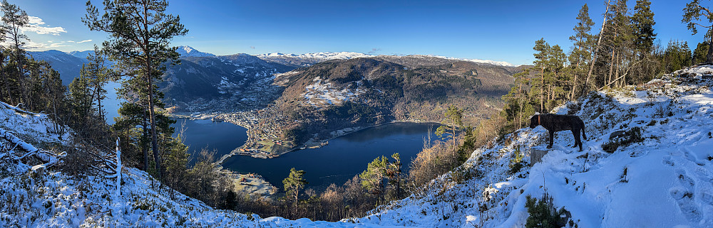 Sogndal sett fra Barsnesfjellet