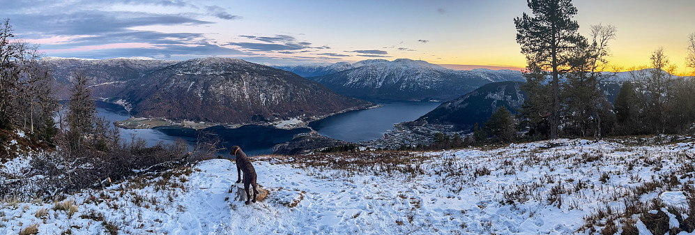 Utiskt fra Skjeggen