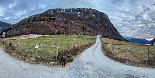 Hesteggi med Flotshaugen foran