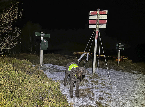 På Rambjøra - sjuk...