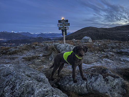 På Sandvikshornet - sjuk...