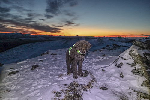 På Røddalshorn