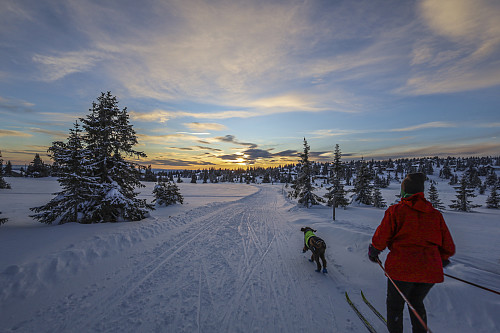 En herlig dag på Sjusjøen