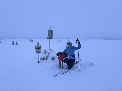 På Lunkefjell