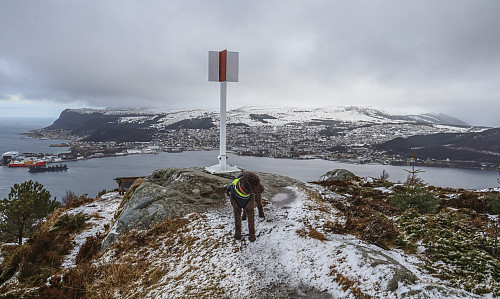 På Høgåsen, med utsikt mot Ulsteinvik