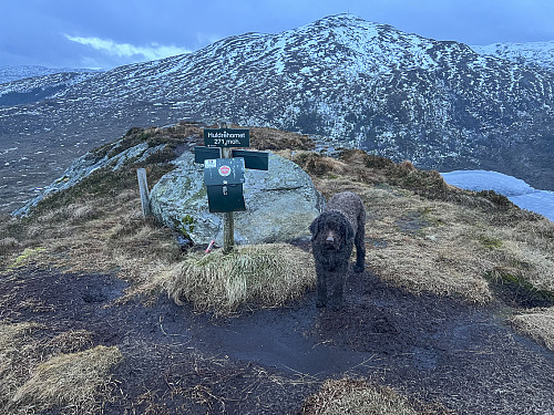 Karma på Huldrehornet