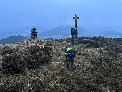 Ekstremværet "Ingunn" tok ikke så hardt på Heida, men brølet fra skogen hørtes ut som 1000 år med dårlige nyheter...