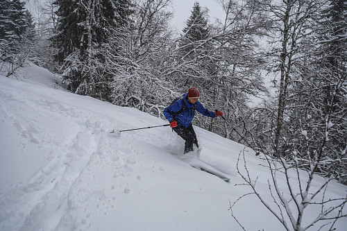 Stedjeåsen er IKKE en ski-topp, men må man, så må man