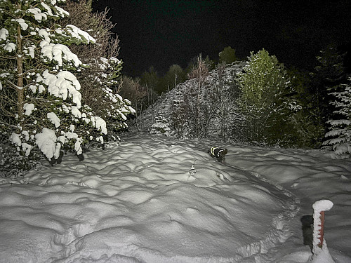 På vei opp Rambjøra