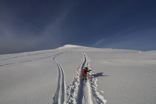 For en snø!