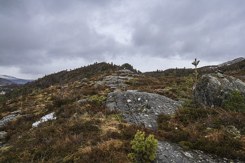 Fin rute mot Lidafjellet