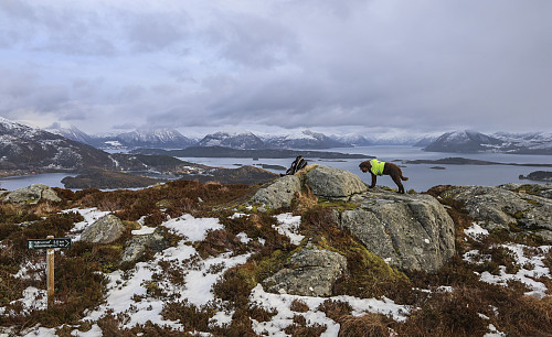 På toppen av Nakken
