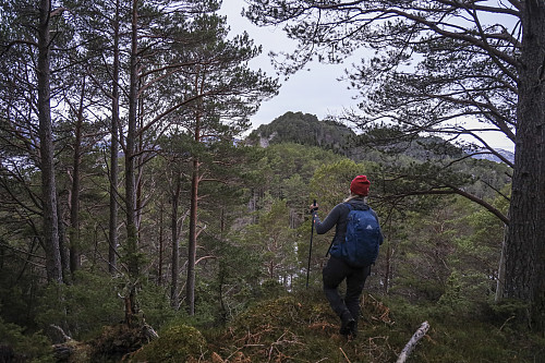 På vei mot Grønnakken