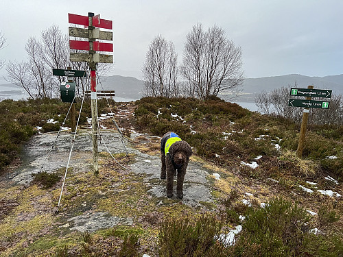 På Rambjøra. Lite snø...