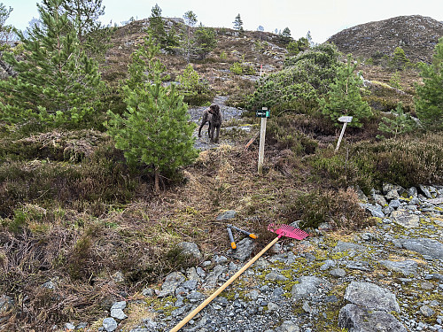 Etter 3 klippeturer var det igang med rake