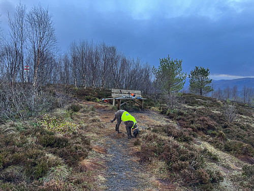 På toppen med kantklipperen