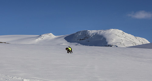 En skikkelig ålreit skitur, på vei fra Sogndal til Sunnmøre