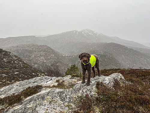 Vi forventet ikke snø... Rjåhornet i bakgrunnen