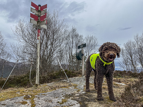På Rambjøra
