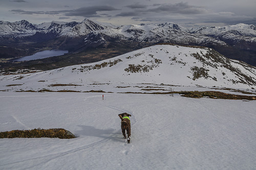 For en tabbe å ikke ta med ski!