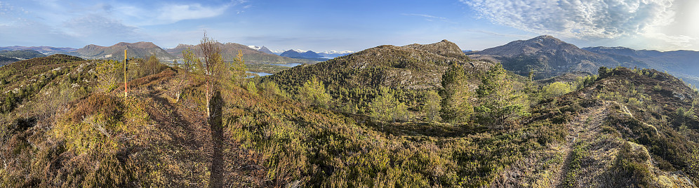 Første dagen med "Stikk UT!" på Lidafjellet. Nyryddet sti av undertegnede