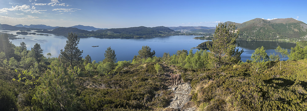 Rolig tur over Rambjøra, etter at vi kom hjem fra Trollstigen