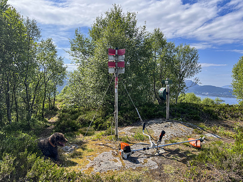 Kort pause på toppen