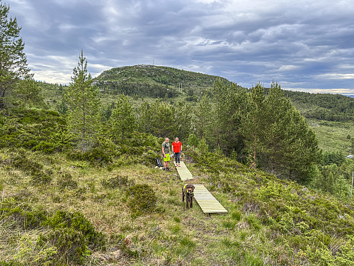 A small contribution to the Øyrahornet path, but it helps...