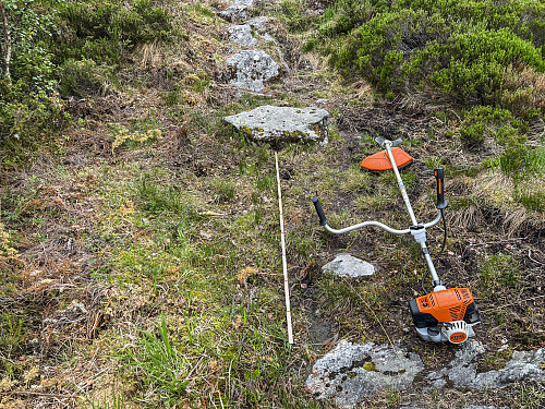 Stiarbeid + planlegging for flere klopper
