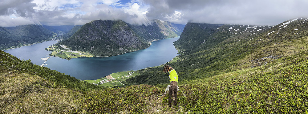 Finfin utsikt fra Nyken