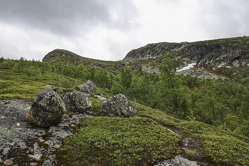 Fin sti opp fra Berghammarsætra