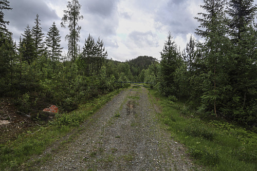 Kolkinnåsen sett fra parkeringen