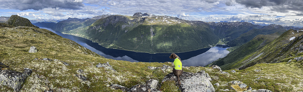 Dalsfjorden sett fra Mannen