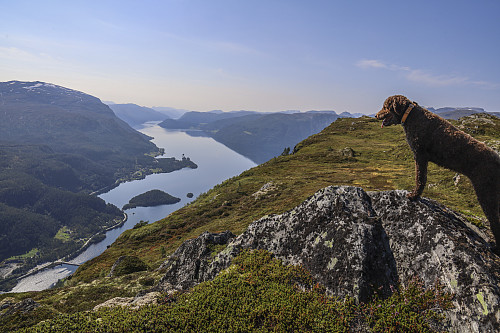 Utsikt mot Hornindalsvatnet